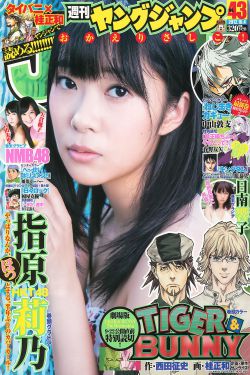 花轿喜事电视剧免费观看全集高清