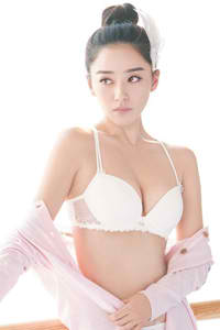 公安局长4